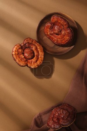 La escena de las materias primas raras usadas para los cosméticos - lingzhi las setas sobre el plato de madera con el paño castaño adornado sobre el fondo castaño oscuro. Espacio vacío para mostrar el producto cosmético y el espacio de copia