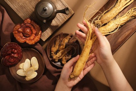 Scene for advertising traditional Chinese medicine. Hands of woman holding a ginseng root, decorated with wooden tray containing red ginseng and lingzhi mushroom on brown background. Top view
