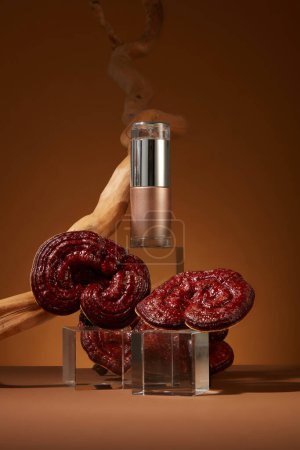Photo for Front view of an empty bottle displayed on transparent podiums with lingzhi mushrooms and dry twig on brown background. Minimal scene for advertising, mockup for design - Royalty Free Image