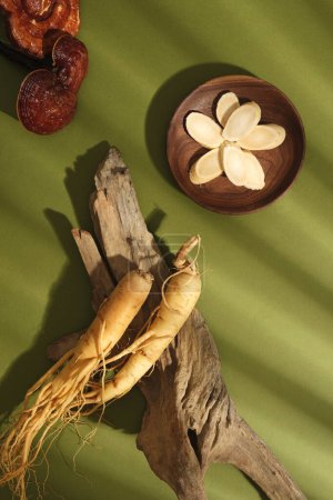 Photo for Top view of ginseng slices on wooden dish, ginseng roots on dry twig and ganoderma mushroom on green background. Advertising scene for product, traditional medicine to supplement health - Royalty Free Image