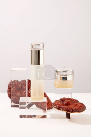 Photo for Mockup scene with empty bottle for cosmetic of lingzhi extract on blue background. Set of cosmetic bottles displayed on glass podiums with lingzhi mushroom on white background. Empty space for design - Royalty Free Image