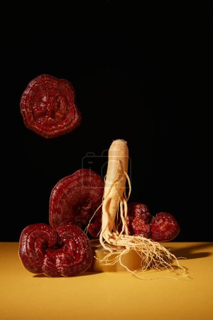Photo for Abstract background for branding and minimal presentation with rare herbal ingredients. Front view of ginseng roots with lingzhi mushrooms decorated on black background - Royalty Free Image
