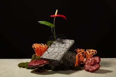 Photo for Take advertising photos for product with herbal ingredient. On the black background, ganoderma mushroom and fresh cordyceps decorated with stone, moss, leaves and red flower. Creative concept - Royalty Free Image