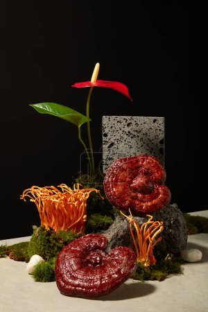 Photo for Take photos of medical products and rare herbs for advertising. Lingzhi mushroom and cordyceps placed on green moss, gray stone, brick and red flower on black background. Front view - Royalty Free Image