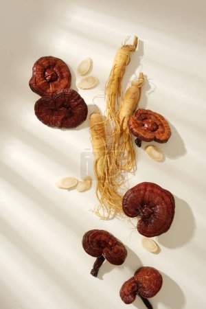 Background for advertising with the concept of folk medicine, rare herbal ingredient. Fresh ginseng roots and ginseng slices, ganoderma mushrooms decorated on white background. Top view