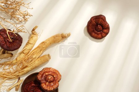 Photo for View from above of lingzhi mushrooms and ginseng roots displayed on a white background. Blank space for presentation. Scene for medicine advertising, photography traditional medicine content - Royalty Free Image