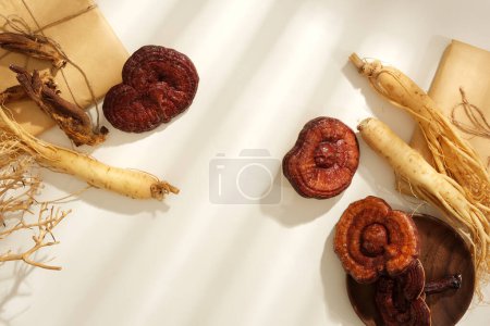 Photo for Medicines originating from ancient China and Korean, health-protecting foods. Fresh ginseng roots and lingzhi mushrooms decorated with medicine packaging and dry twigs on white background - Royalty Free Image