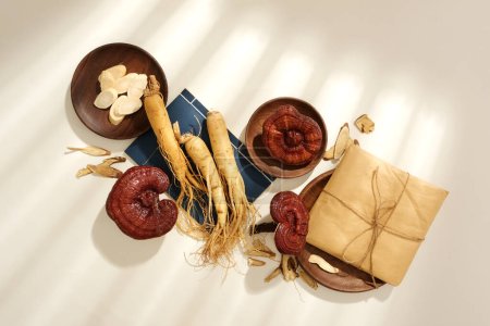 Szene für Werbung für die traditionelle chinesische Medizin mit getrockneten Kräutern auf weißem Hintergrund. Frische Ginsengwurzel, Lingzhi-Pilze und medizinische Leiter in Papier gewickelt ausgestellt