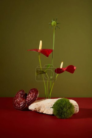 Photo for Minimal scene with block of stone decorated with green moss, red flower and lingzhi mushroom on dark green background. Empty space on stone for placed product. Concept for herbal ingredient - Royalty Free Image