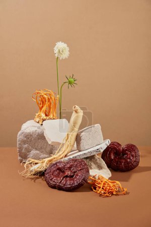 Photo for Front view of ginseng root, lingzhi mushroom and cordyceps displayed on gray block of bricks on brown background. Minimal scene for advertising product with herbal ingredient - Royalty Free Image