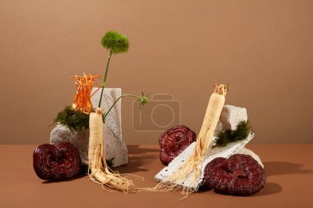 Photo for Creative scene for advertising product from traditional medicine ingredient. Ginseng roots and lingzhi mushroom decorated with cordyceps and stones on brown background. Front view - Royalty Free Image