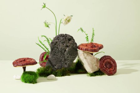 Téléchargez les photos : Vue de face des champignons Ganoderma placés à côté des rochers et des fleurs sauvages sur un fond blanc. Espace exquis pour la publicité de produits contenant des ingrédients d'herbes médicinales précieuses. - en image libre de droit