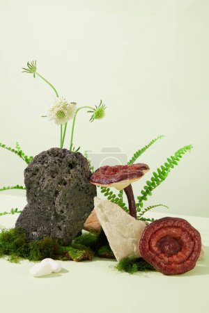 Photo for Green moss, wild flowers and lingzhi mushrooms are decorated around a dark stone slab on a white background. Simulate natural scenes. Space suitable for advertising oriental medicine. - Royalty Free Image