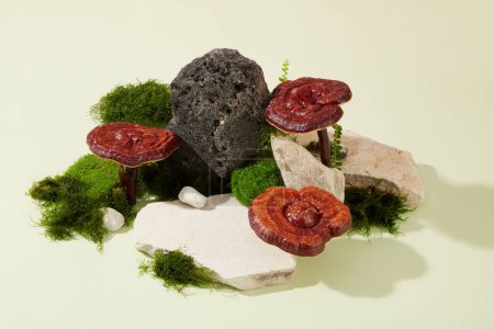 Photo for Lingzhi mushrooms are arranged vertically next to rocks with green moss. Space for displaying products extracted from high-quality medicinal herbs. Minimalist white background. - Royalty Free Image