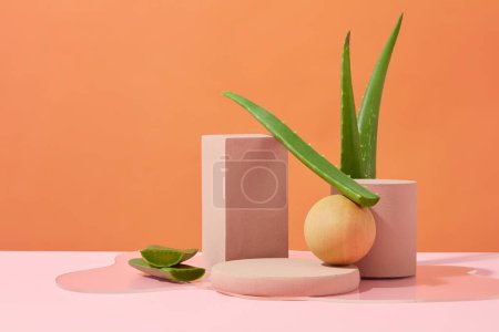 Photo for Platforms of different shapes are arranged next to each other on a pink table. Orange background with aloe vera leaves. Ideal space for advertising cosmetics with aloe vera extract. - Royalty Free Image