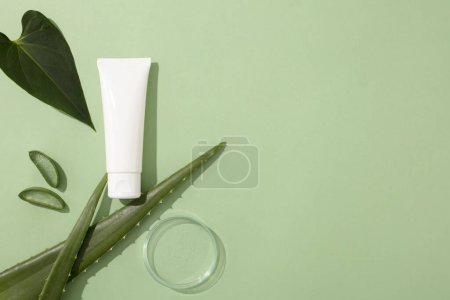 Photo for A white cosmetic tube is displayed with fresh aloe vera, green leaves and a transparent petri dish. Empty space for text design or product display. Treatment with natural ingredient. - Royalty Free Image