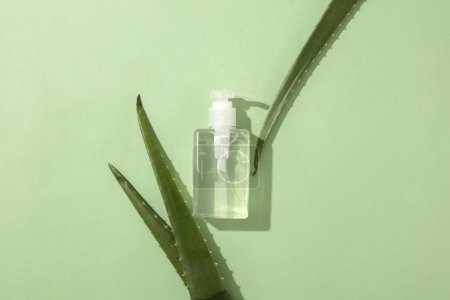 Photo for A bottle of hand sanitizer is placed in the center of the frame with fresh aloe vera leaves. Aloe vera gel is an ideal ingredient to replace the moisturizing and softening role of glycerin. - Royalty Free Image