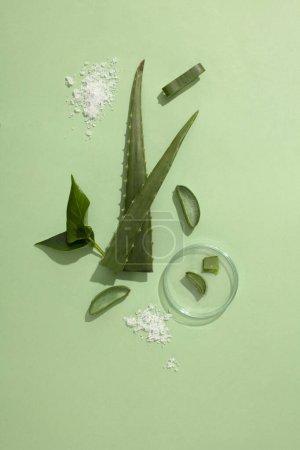 Photo for White salt and fresh aloe vera leaves are displayed with a transparent petri dish. Aloe vera mixed with pureed white salt has two effects: effectively preventing acne and whitening the skin - Royalty Free Image