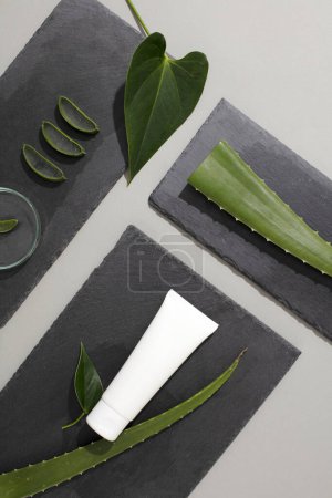 Photo for A tube of cosmetics, green leaves and fresh aloe vera are displayed on gray platforms. Aloe vera provides water, replenishes moisture and moisturizes the skin. - Royalty Free Image