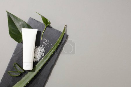 Photo for On the gray platform there is a tube of unbranded cosmetic, fresh aloe vera, green leaves and a little white salt. Minimalist gray background for cosmetics advertising. - Royalty Free Image