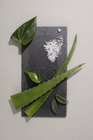 Photo for The gray platform is decorated with green leaves, fresh aloe vera and white salt. Space for product display. Natural cosmetics concept with minimalist background. - Royalty Free Image