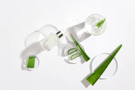 Photo for Close-up of skin care serum bottle, aloe vera and glass props on a minimalist background. Aloe vera contains vitamins B1 and B2, which help regenerate blood and develop tissue cells on the skin. - Royalty Free Image
