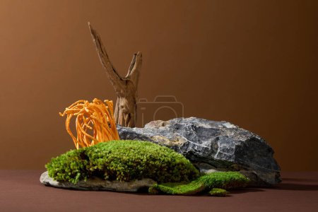 Foto de Escena que representa hongos cordyceps y musgo verde creciendo sobre rocas sobre un fondo marrón. Cordyceps es un hongo parásito que crece en larvas de oruga. - Imagen libre de derechos