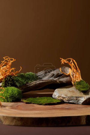Photo for Diverse stone slabs on green moss with cordyceps. Minimalist brown backdrop. Perfect space for presenting and promoting products enriched with natural ingredients. - Royalty Free Image