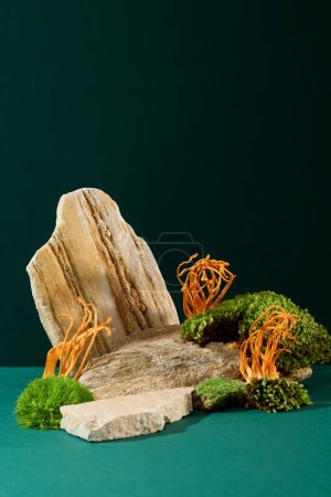 Téléchargez les photos : Cordyceps et mousse verte poussent sur des rochers sur un fond vert foncé. Espace pour afficher des aliments fonctionnels. Cordyceps est une herbe médicinale rare qui aide à améliorer la santé. - en image libre de droit
