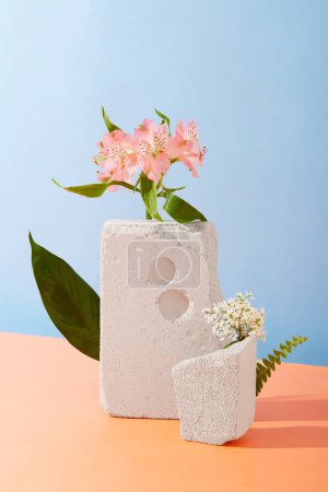 Téléchargez les photos : Fleur fraîche posée sur un bloc de pierre blanche sur fond pastel. Scène minimale pour la publicité, l'affichage des produits et l'espace pour le texte. Fleurs fraîches aident à améliorer l'humeur. - en image libre de droit