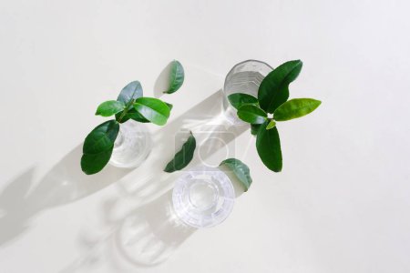 Téléchargez les photos : Les branches de thé vert sont placées dans des tasses d'eau en verre sur un fond blanc. Image minimaliste pour la publicité, les magazines et plus encore. Concept minimaliste et sophistiqué. - en image libre de droit