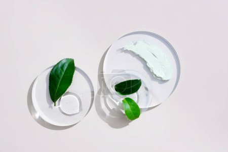 Téléchargez les photos : Les feuilles de thé vert et certaines textures sont affichées sur des plates-formes rondes transparentes sur un fond blanc. Les antioxydants dans le thé vert aident à combattre l'inflammation de la peau. - en image libre de droit