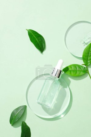 Photo for Close-up of the transparent serum bottle displayed on a glass podium and a few fresh green tea leaves decorated on a pastel green background. The beauty of minimalism. - Royalty Free Image