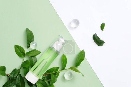 Photo for Top view of the toner bottle placed on fresh green tea leaves on a pastel green background. Cosmetics advertisement with minimalist concept. Blank space for text design and image insertion. - Royalty Free Image