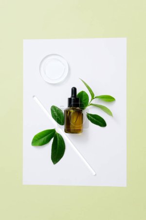 Photo for Serum with green tea extract contains antioxidants and nutrients to help skin become shiny and bright. Cosmetic mockup for advertising with minimalist background. - Royalty Free Image