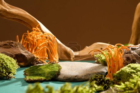 Front view of cordyceps and lush moss on rocky terrain with a serene blue-brown backdrop. Ideal setup for showcasing healthcare products with natural ingredients in a medical-theme.