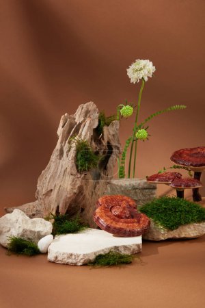 Green moss growing on rocks, flowers and lingzhi mushrooms are displayed on a brown background. Ganoderma tea extract is rich in polysaccharide content, which can increase antioxidant capacity.