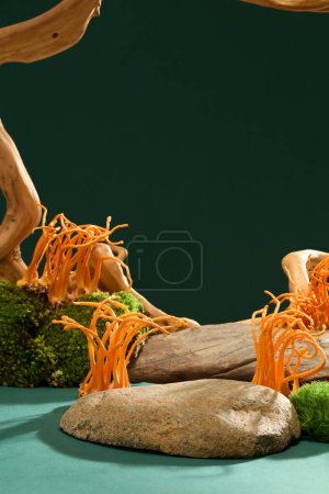 Photo for Cordyceps with green moss on the rocks. Deep green background. Minimalist space for displaying health care products with natural ingredients. Medical theme. - Royalty Free Image