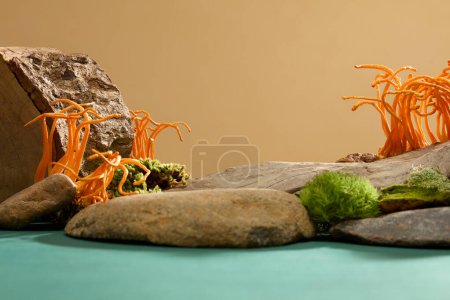 Photo for Stone slabs of different sizes and shapes are placed on a background with green moss and cordyceps. Ideal space for displaying and advertising functional foods. - Royalty Free Image
