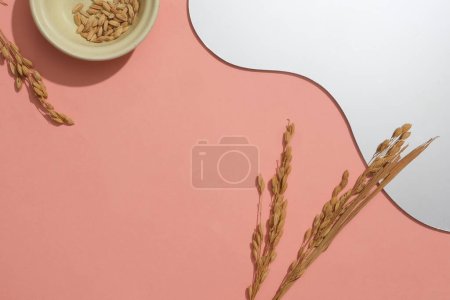 Photo for Rice, ceramic plate and an acrylic sheet are decorated on a pink background. Free space for product design and display. Rice bran powder contains phytosterols - which have antioxidant effects. - Royalty Free Image