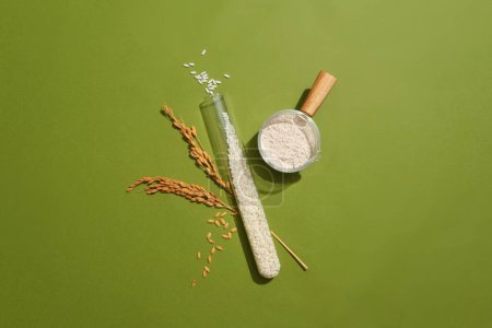 Foto de La harina de arroz y el arroz blanco se almacenan en cristalería sobre un fondo verde musgo. El concepto de ingredientes naturales contiene muchos nutrientes que apoyan el aclaramiento de la piel. - Imagen libre de derechos