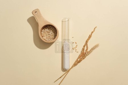 Photo for Whole rice is stored in a small wooden bowl, rice flour is contained in a test tube. Minimalist beige background for typography design. Scene for vegan cosmetics advertisement. - Royalty Free Image