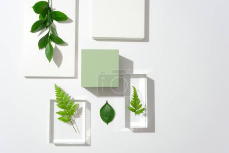 Téléchargez les photos : Fougères et feuilles vertes sont exposées sur des plates-formes en verre transparent, une plate-forme vert pastel est centrée sur un fond blanc. Espace idéal pour l'affichage. - en image libre de droit
