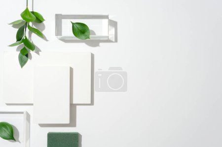 Téléchargez les photos : Sur le côté gauche d'un fond blanc, deux plateformes en verre, un podium blanc et des feuilles vertes créent une composition dynamique. Concevez votre texte avec suffisamment d'espace vide pour des visuels commerciaux convaincants. - en image libre de droit