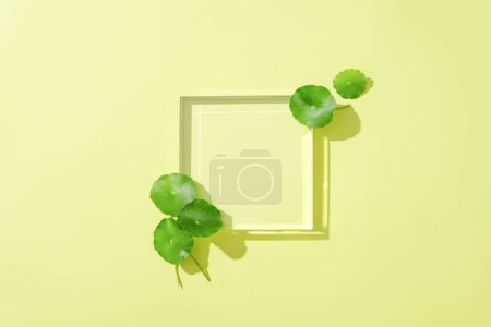 Photo for On a pastel background, a glass podium and fresh pennywort, creating an inviting space for product display. Highlighting the excellent skin detoxifying properties with centella extract. - Royalty Free Image