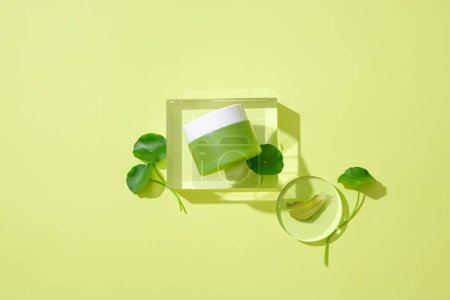 Téléchargez les photos : Un pot de cosmétiques sans marque est exposé sur une plate-forme en verre avec des feuilles fraîches d'airelle. Centella est un ingrédient populaire dans l'industrie de la beauté. - en image libre de droit