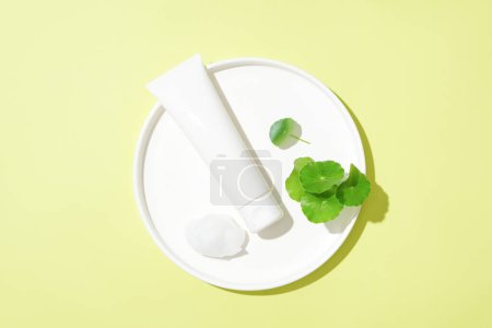 Photo for An unlabeled cosmetic tube and fresh pennywort leaves are displayed on a white ceramic plate on a pastel background. Vegan cosmetic concept with pennywort extract. - Royalty Free Image