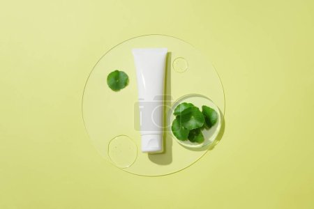 Photo for A plastic tube, fresh pennywort leaves and two drops on a round glass platform. Centella helps heal wounds and reduces the appearance of scars. Cosmetic concept. - Royalty Free Image