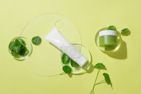 Photo for An unlabeled cosmetics set, fresh pennywort and transparent glass platforms are displayed on the background. Scene for vegan cosmetics advertisement. - Royalty Free Image