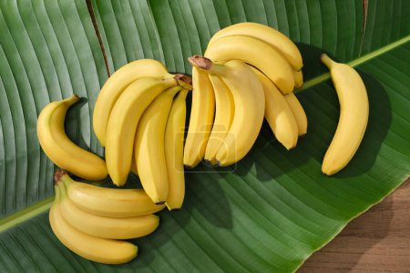 Foto de Manojos de plátano amarillo dispuestos en hoja de plátano verde fresco. El plátano (Musaceae) está cargado con muchos nutrientes que ayudan a darle una piel de aspecto saludable - Imagen libre de derechos